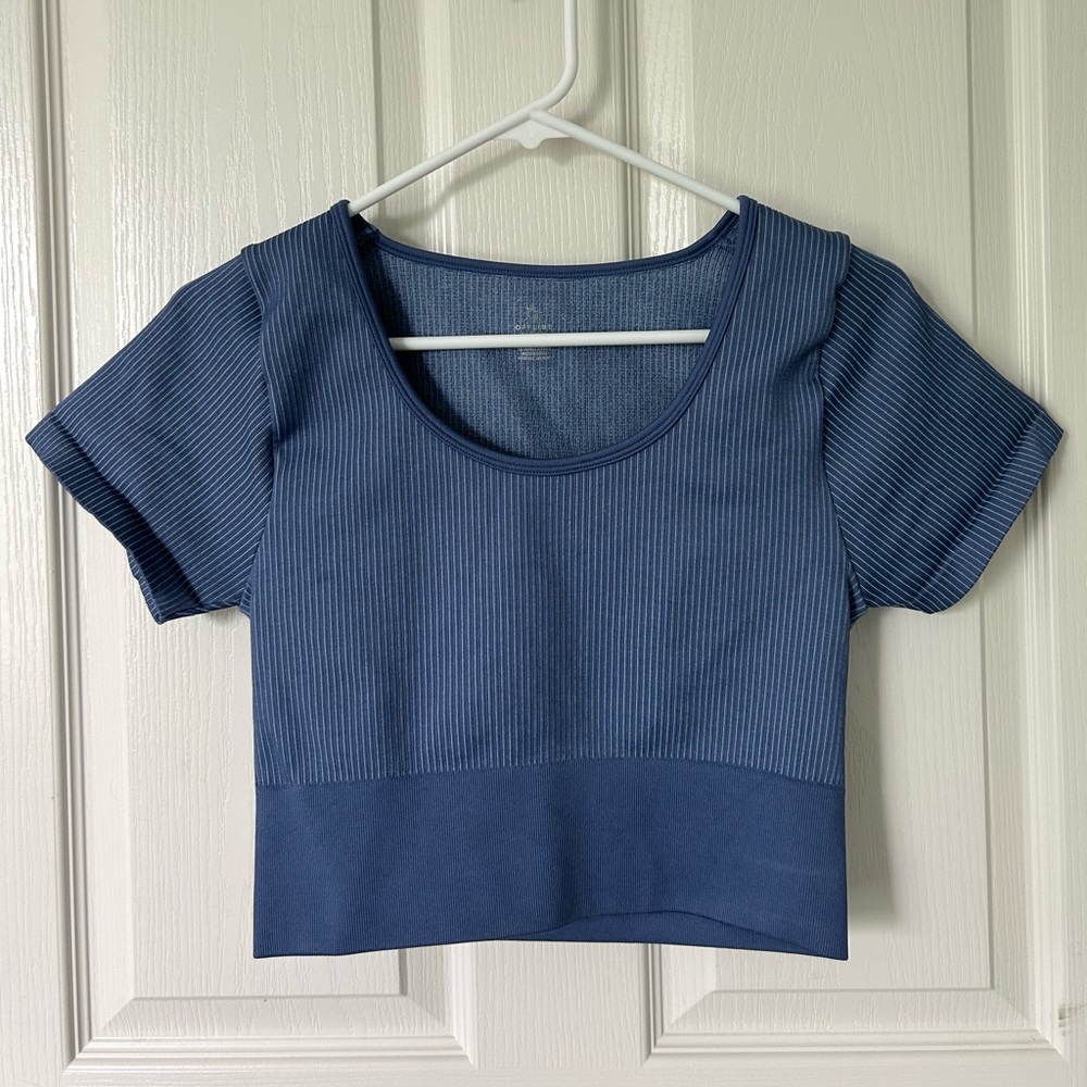 Aerie Athletic Crop Top. Size: Large. Color: Blue.